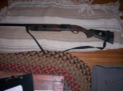 remington 1100 12 ga