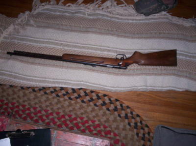 wards western field 22 model 48
