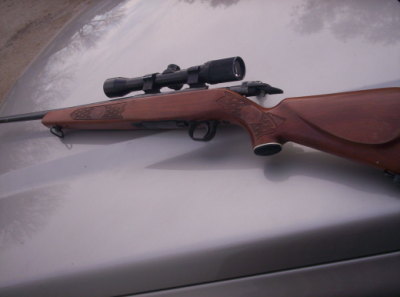 mossberg 308 
